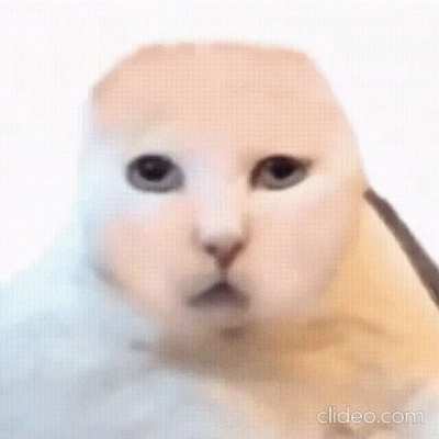 Blursed_makeover