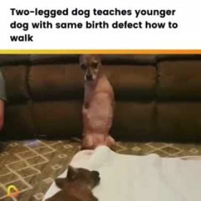 This is so wholesome 🥰