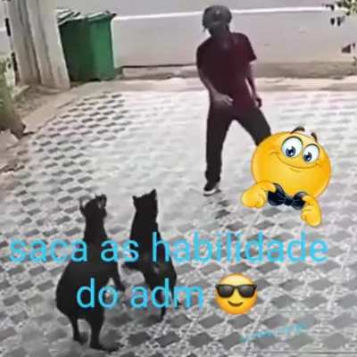o poder do adm respeita
