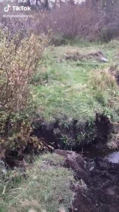 Jump! (credit: @myhomieinnis on TikTok)