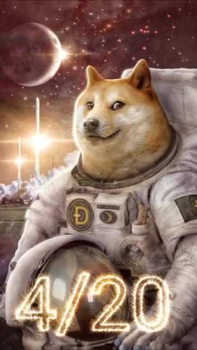 🐕 🌙