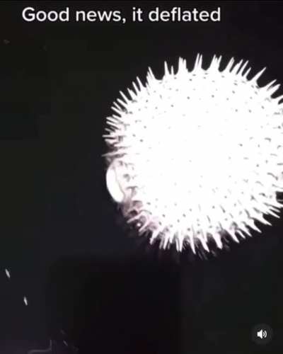 Well it *tried* to scream...