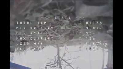Cat takes out kamikaze drone in Ukraine