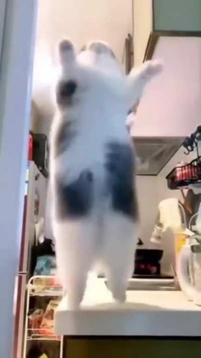 Nice moves.