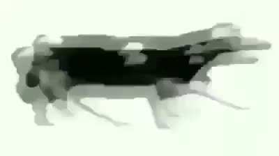 Tutaj to chyba najbardziej pasuje.
