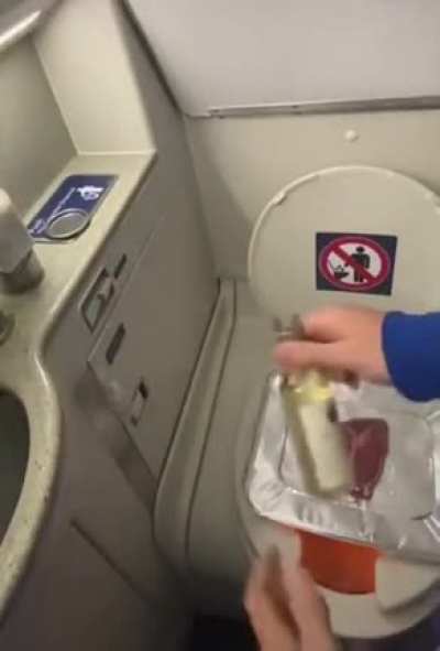 Someone Cook Steak On Flying Plane
