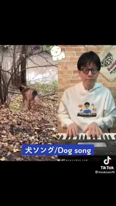 Dog Song