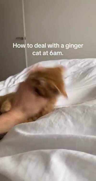 He attac