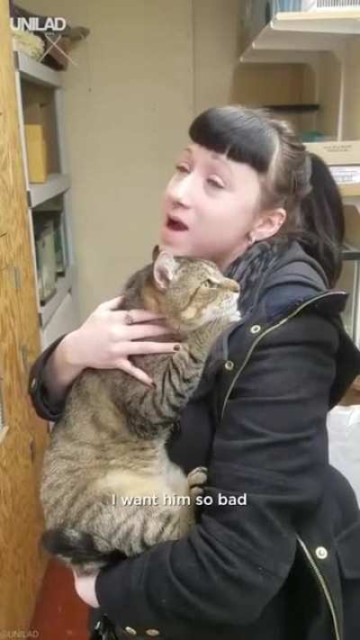 Ultrachonk