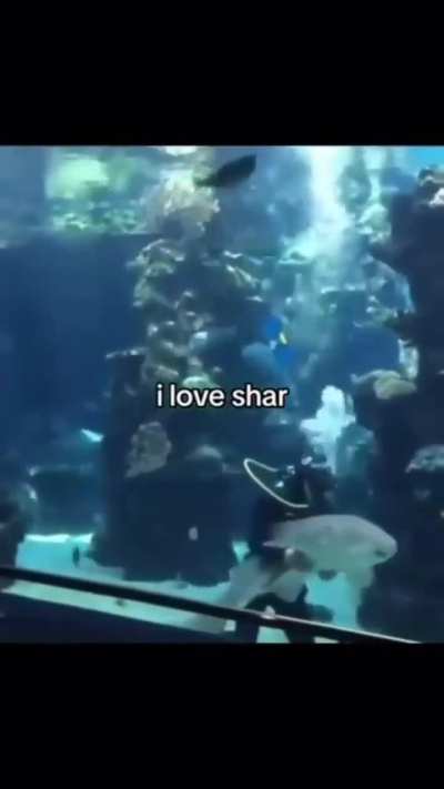 Shar