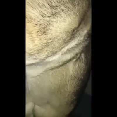 SquarePosting - Video #4593