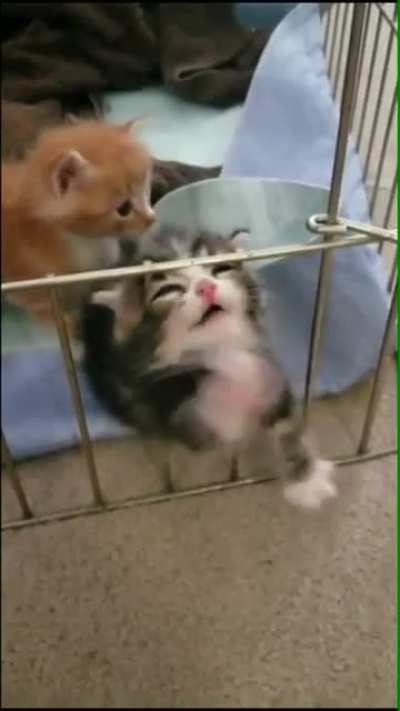 'I want out'