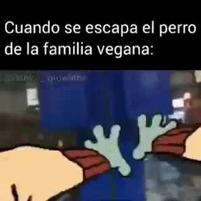 Firulais vegano