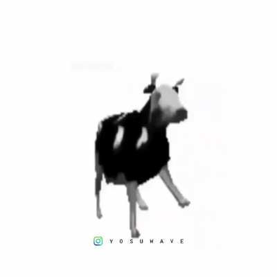 VACA