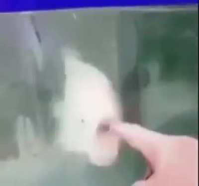 Ẁ̵̫̮̭̝̼͈̩͖̠̹̻̩͜Ą̴̟̯̞͈́͒̐̌̐̅̍͝A̶̫̳͎̯͔̥̫̠͌͌̂͛́̈́͊͝Ḁ̶̆A̵͓͕̮̬̽̀̂̍̃͘Ą̴̮̱͍̟̘̺̺̼̻͓̊͂̈̋́A̵̩̲̱̜̪̫̳͖̽́ͅĄ̵̛͎͔̜̼̩̾̑́͊̃͗̔̔͒̾̆̍͆̊A̶̧̢̝̳͎͎͖͉̱̘͎̔̄̋͐̅̈́̍̿͊̈́̀̄̈̾̕ͅA̵̗͔̥̼͍̩͉͌̈́̒͑A̷̧̡̬̜̟̙̜̠̭̺̫̩͛A̶̱̹͒̓̒͐̇ͅͅ
