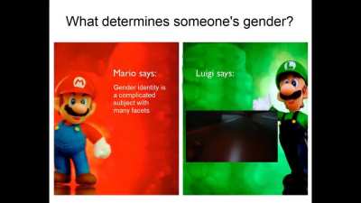 Mario bros' views on gender