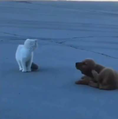 I is Not Getting into Trouble... Me just Cleaning Myself. xD