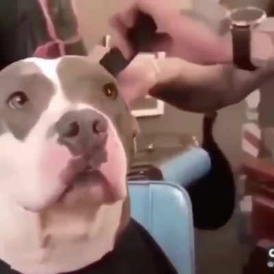 Si