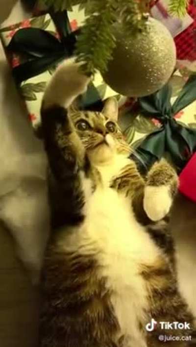 Touch Tha ornament