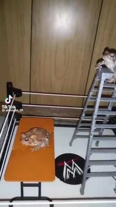 More Phr&ouml;g wrestling 