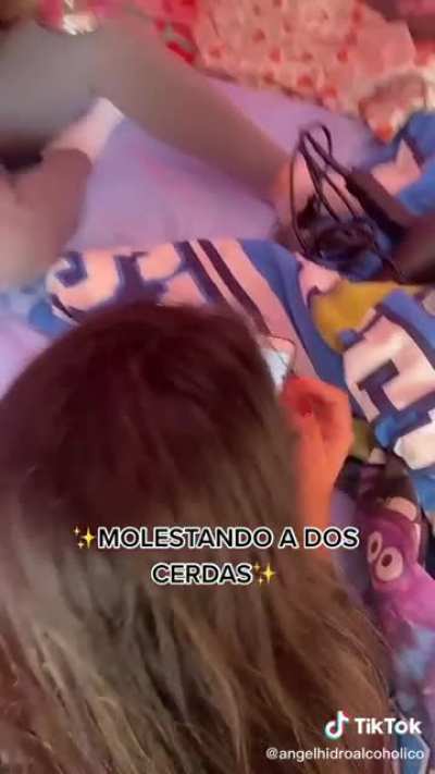 Despiste