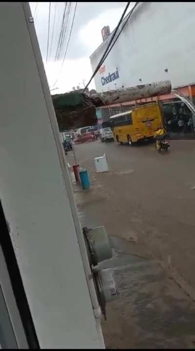 &iquest;Ahora que sigue?