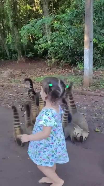 ZKN: Cutest thing you’ll see today!