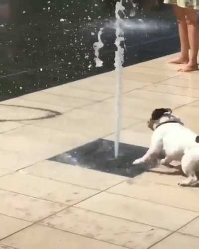 Such joy!