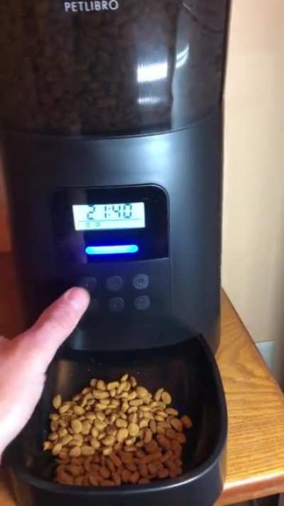 New cat feeder
