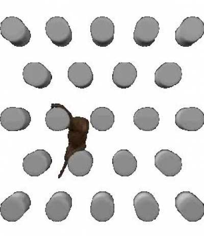 Rule