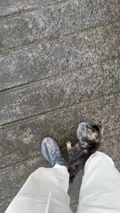 Smol Eddie doesn't let me walk
