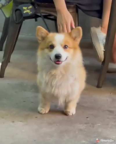 Oh, am I on camera?