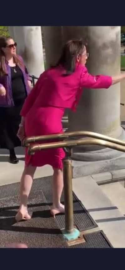 GOP NH state rep Susan DeLemus losing her shit on peaceful protestors