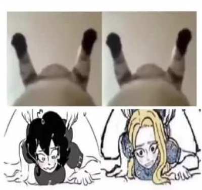 Dancs