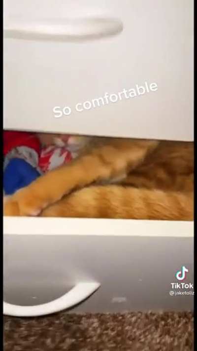 "Why are there socks in my bed?"