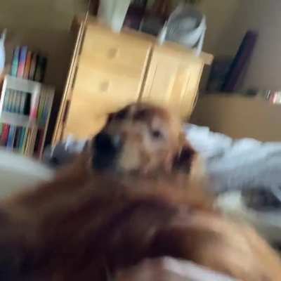 I just wanted to use my hand, Bergen had other ideas
