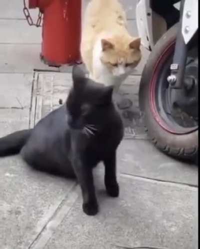 Caught his cheatin&rsquo; ass