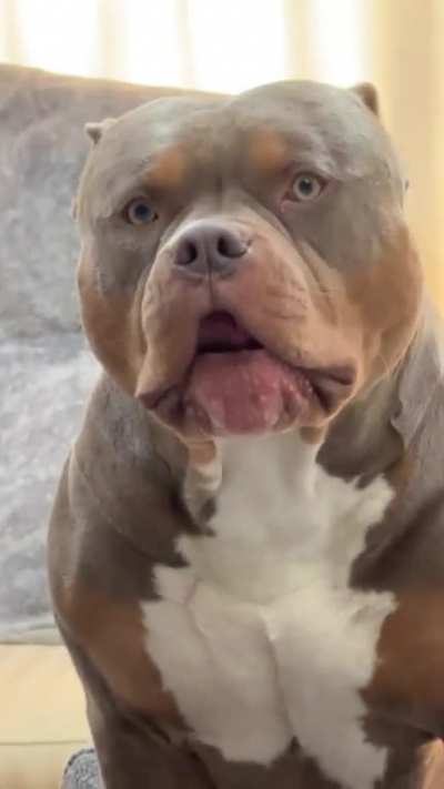 ROAAAAAA