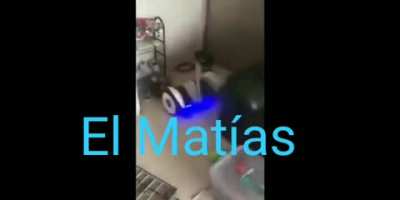 mati en modo reven.