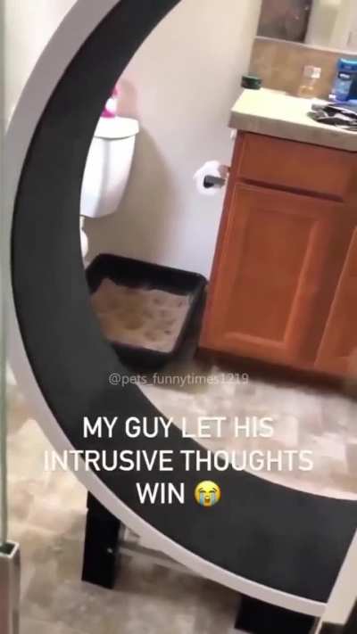 dsg