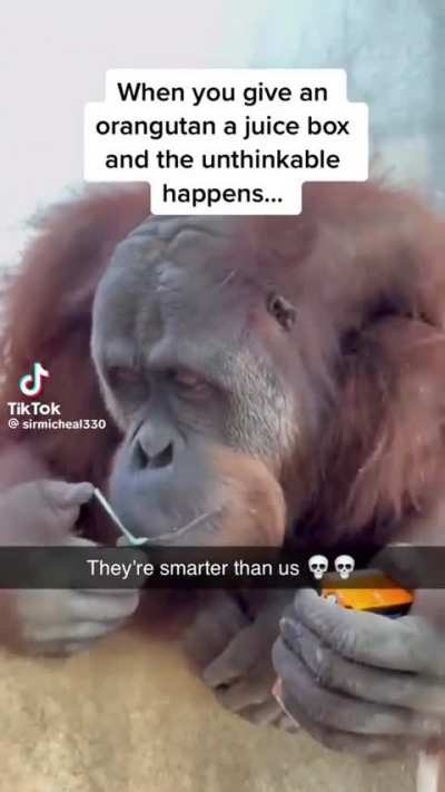 "They're learning"