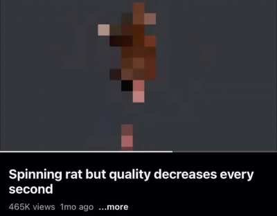 Rat 🐀