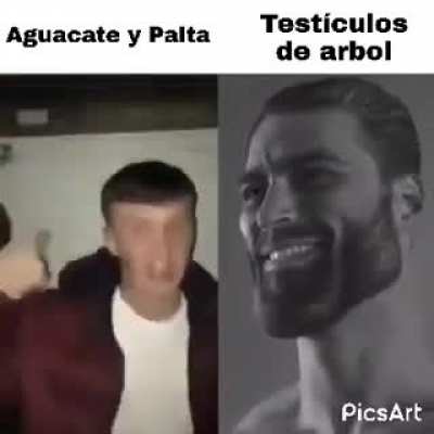 C&oacute;mo debe de ser 😎