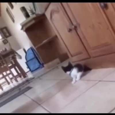 Run