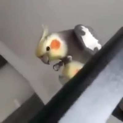 Aaahhh