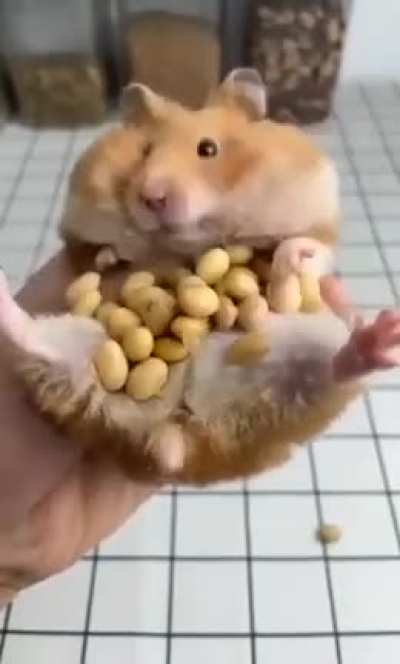 maybe maybe maybe