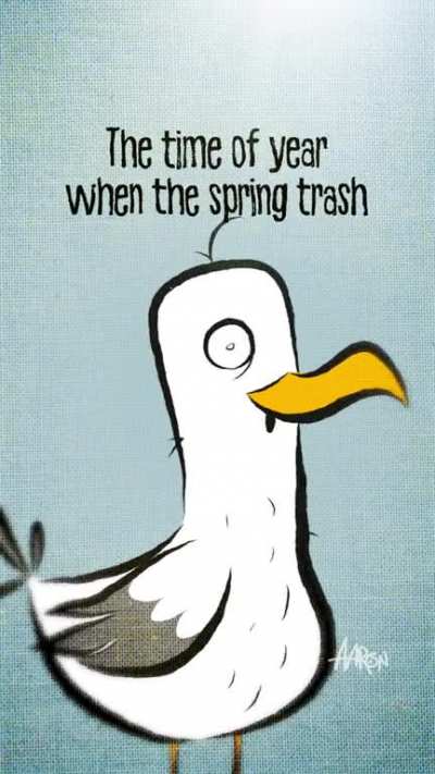 Joy Spring