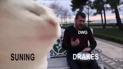 perfect drake