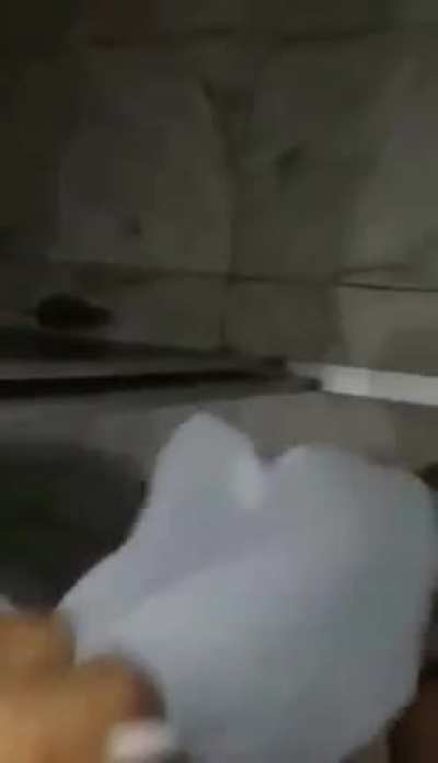 Coisa Comum Para Muitos Brasileiros 🤣