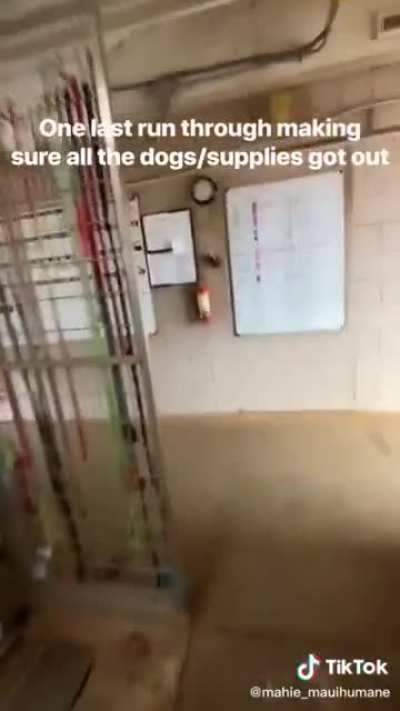 I can&rsquo;t imagine the fear going through the shelter workers. Looks like all the dogs were taken out in time.